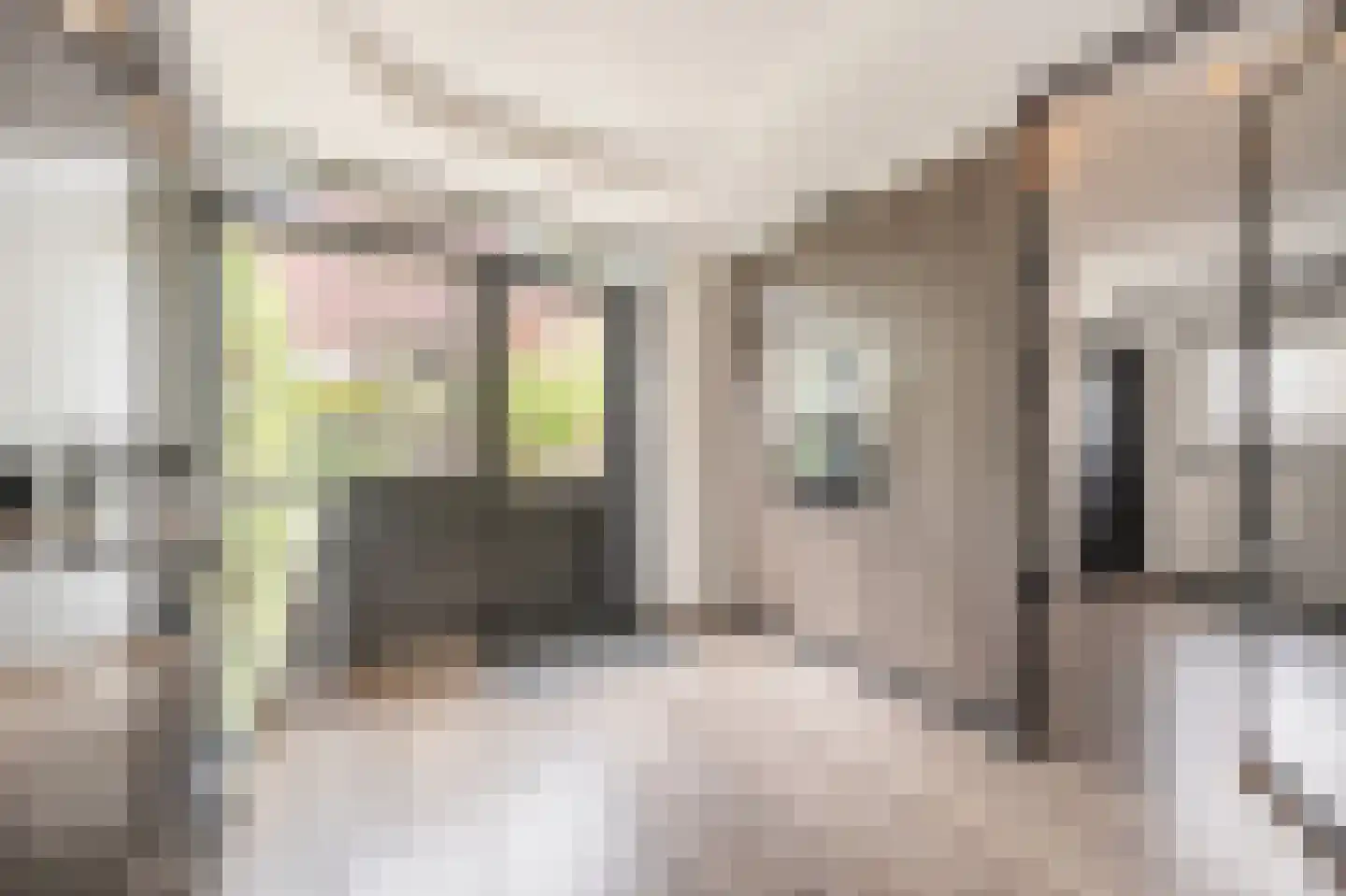 Laan van Moerkerken 62 Mijnsheerenland thumbnail 14