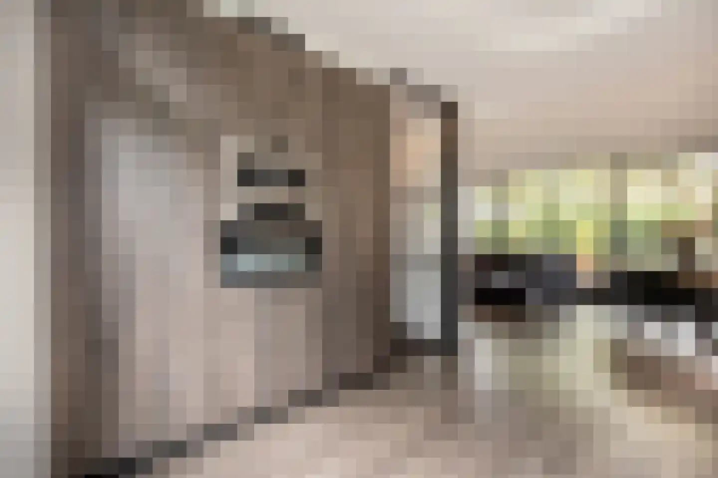 Laan van Moerkerken 62 Mijnsheerenland thumbnail 15