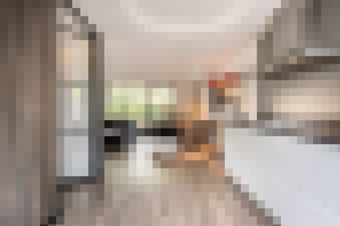 Laan van Moerkerken 62 Mijnsheerenland thumbnail 16