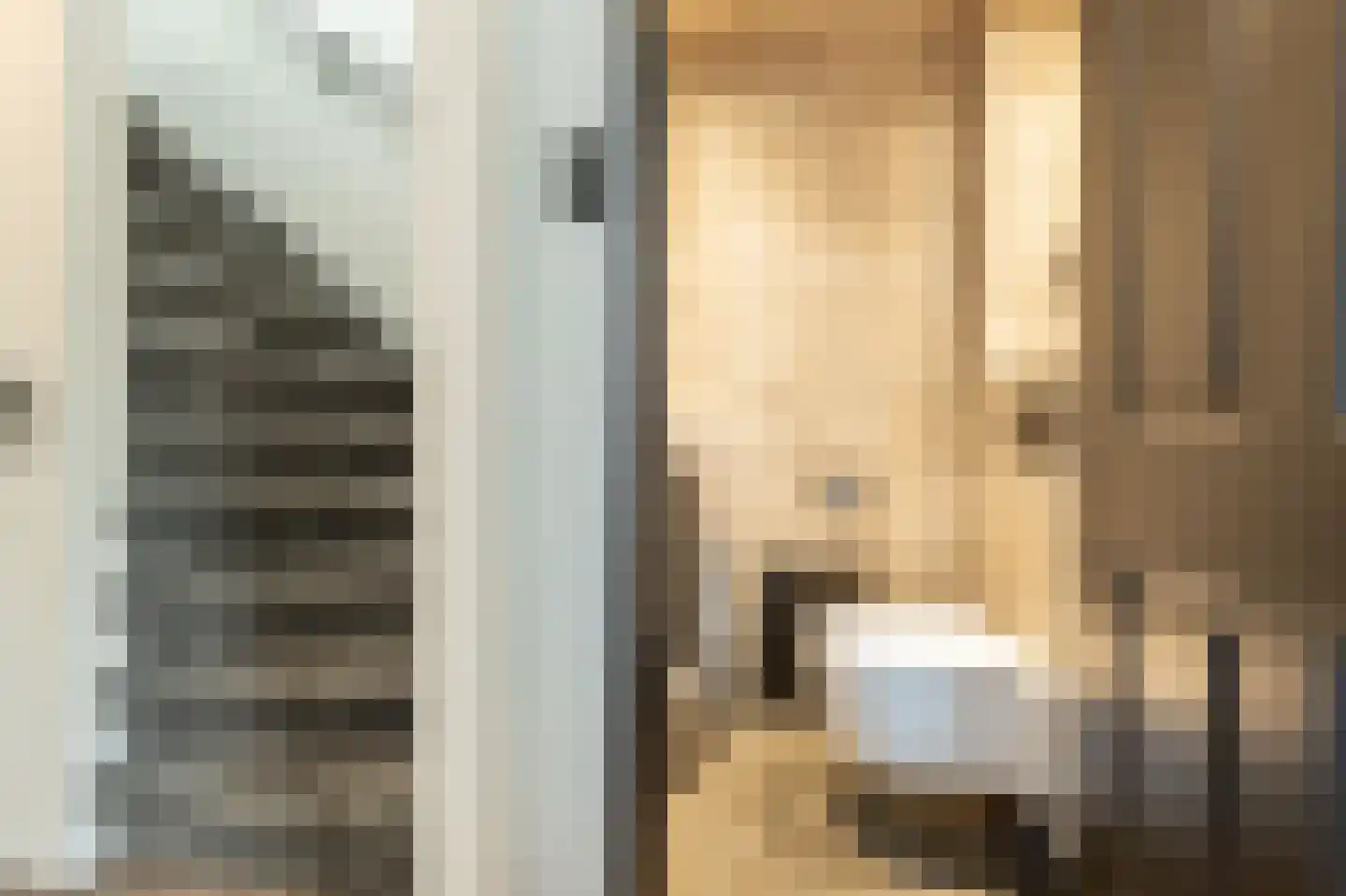Laan van Moerkerken 62 Mijnsheerenland thumbnail 17
