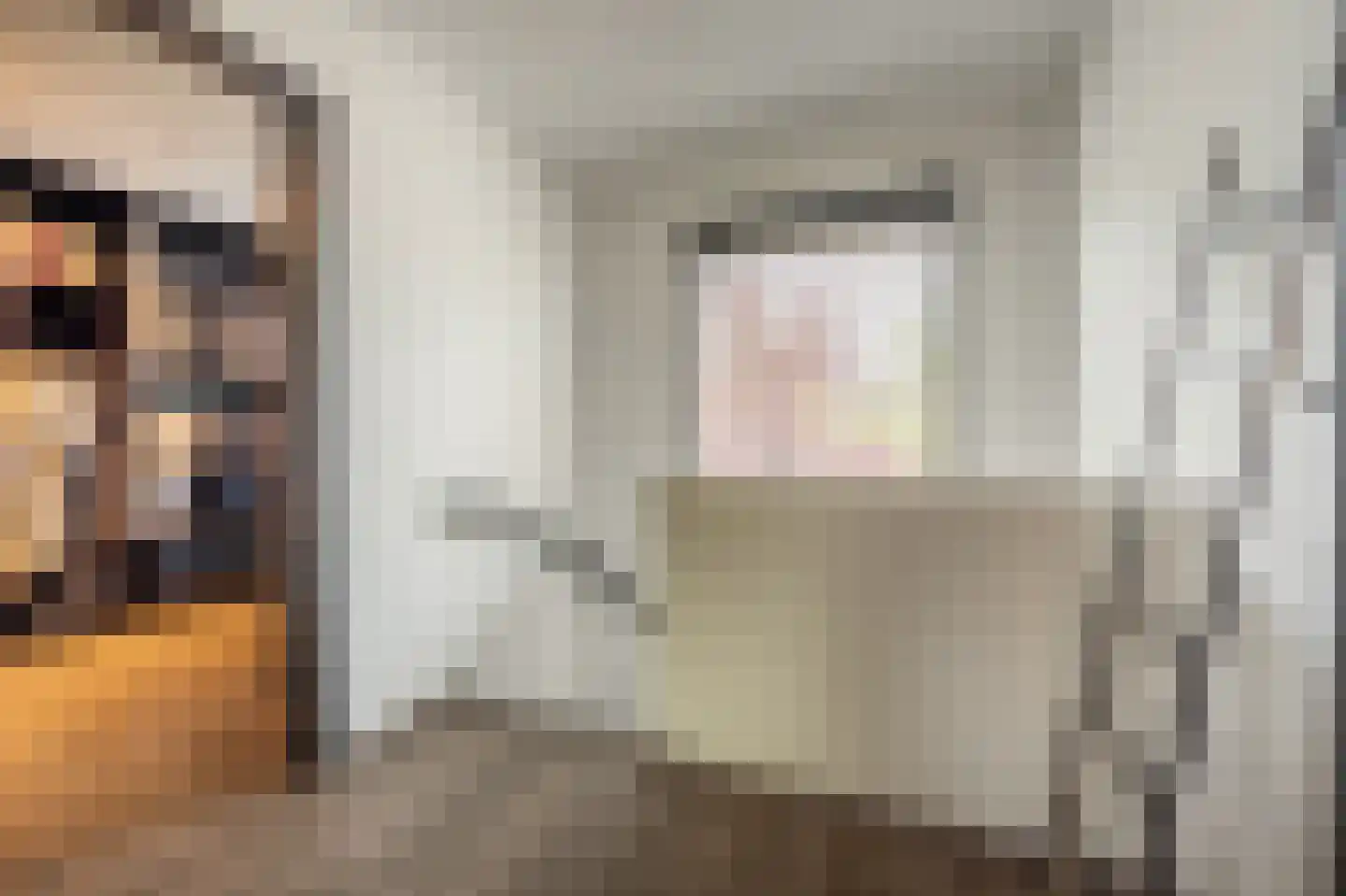 Laan van Moerkerken 62 Mijnsheerenland thumbnail 18