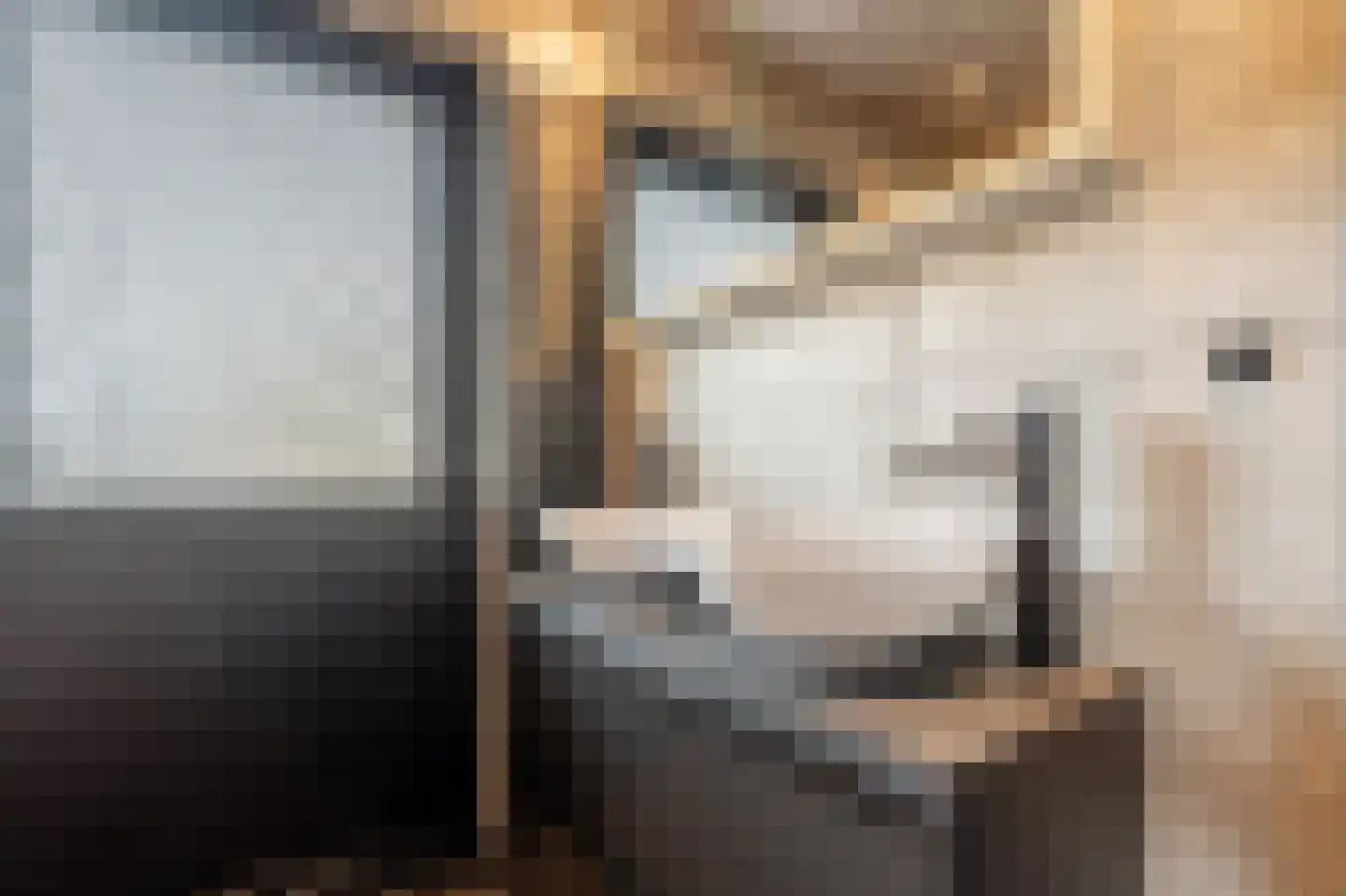 Laan van Moerkerken 62 Mijnsheerenland thumbnail 23