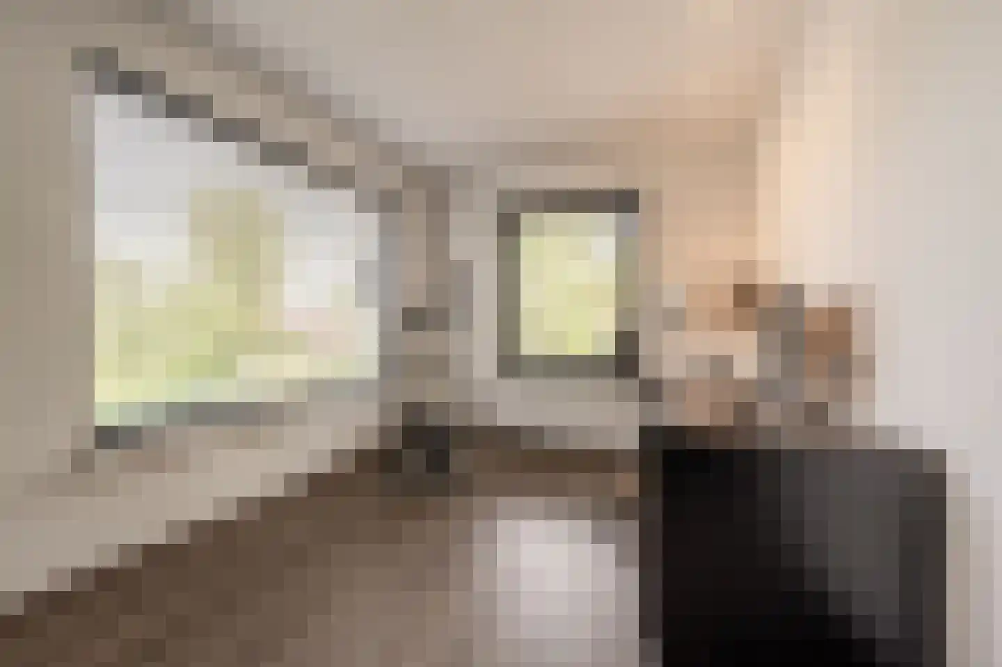 Laan van Moerkerken 62 Mijnsheerenland thumbnail 25
