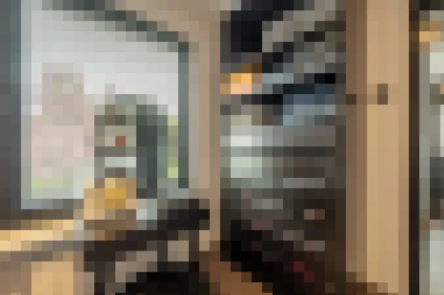 Laan van Moerkerken 62 Mijnsheerenland thumbnail 30