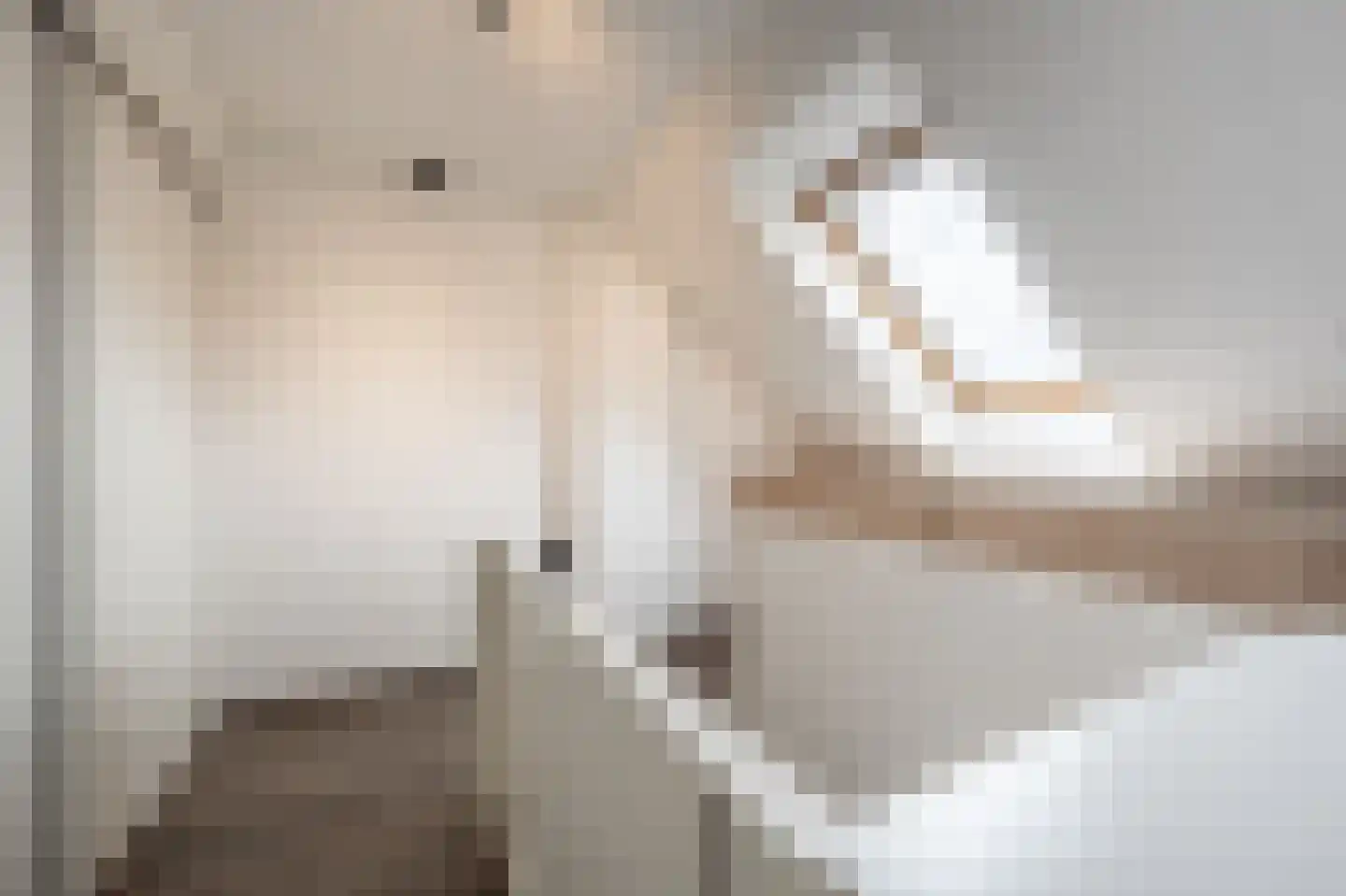 Laan van Moerkerken 62 Mijnsheerenland thumbnail 34