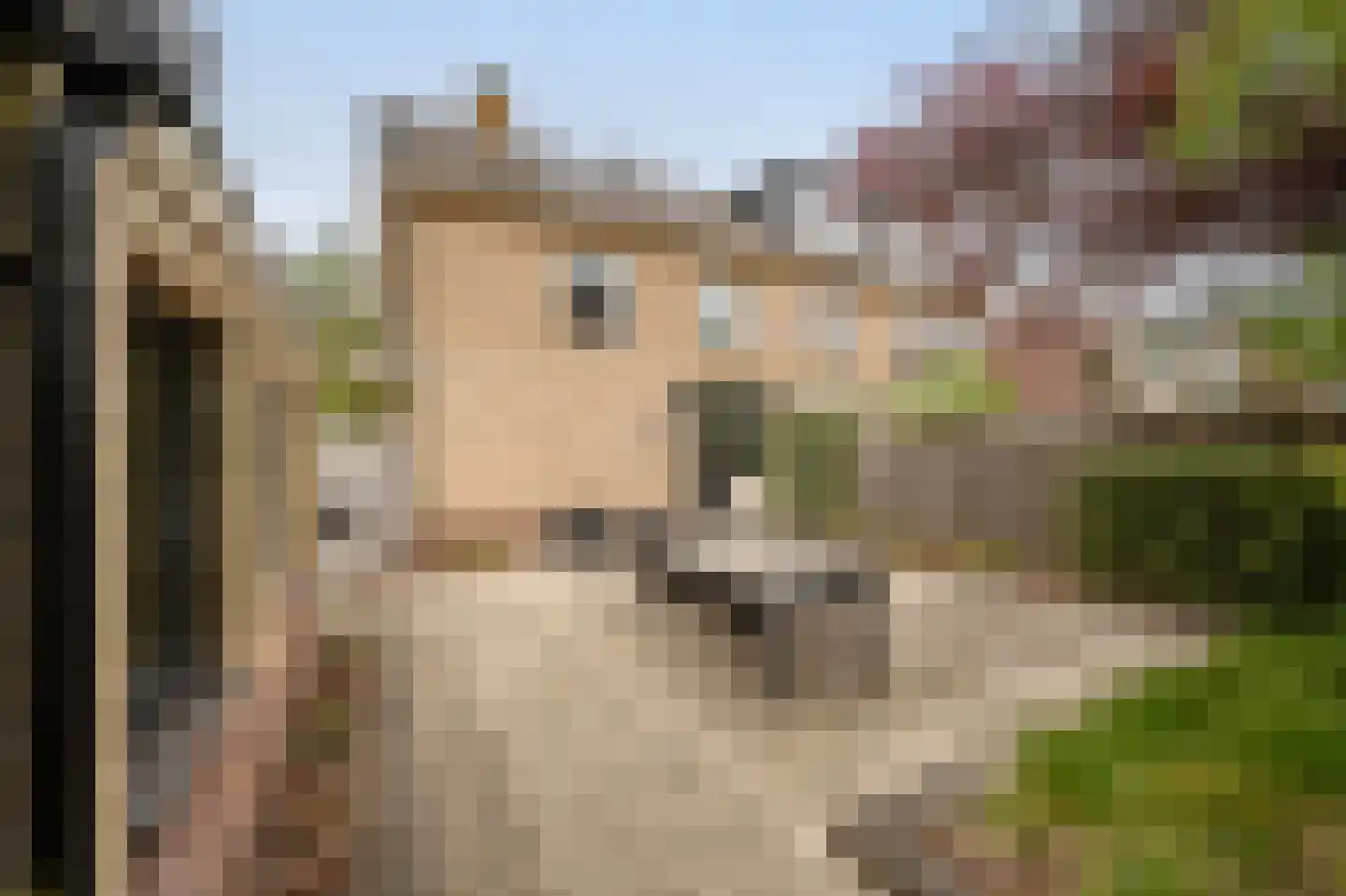 Laan van Moerkerken 62 Mijnsheerenland thumbnail 36