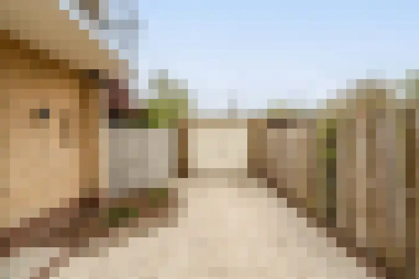 Laan van Moerkerken 62 Mijnsheerenland thumbnail 38