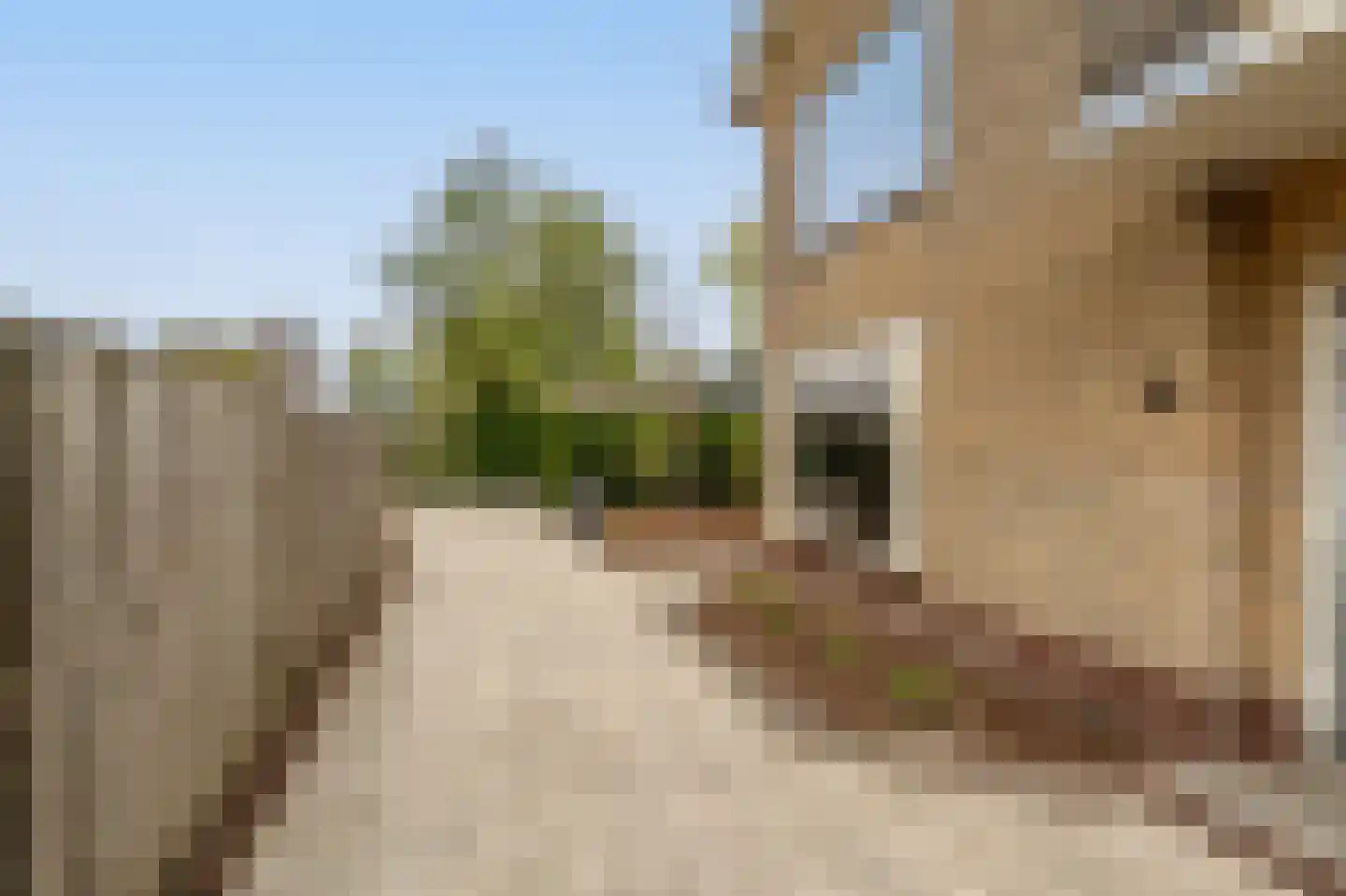 Laan van Moerkerken 62 Mijnsheerenland thumbnail 39