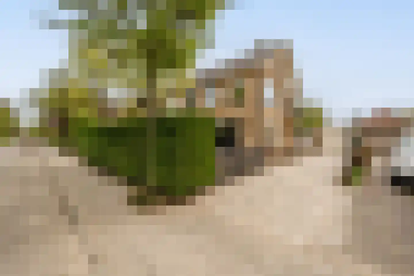 Laan van Moerkerken 62 Mijnsheerenland thumbnail 43
