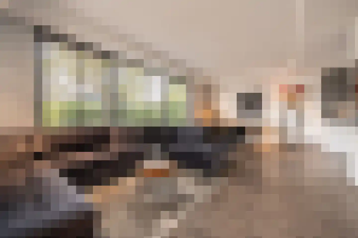 Laan van Moerkerken 62 Mijnsheerenland thumbnail 6