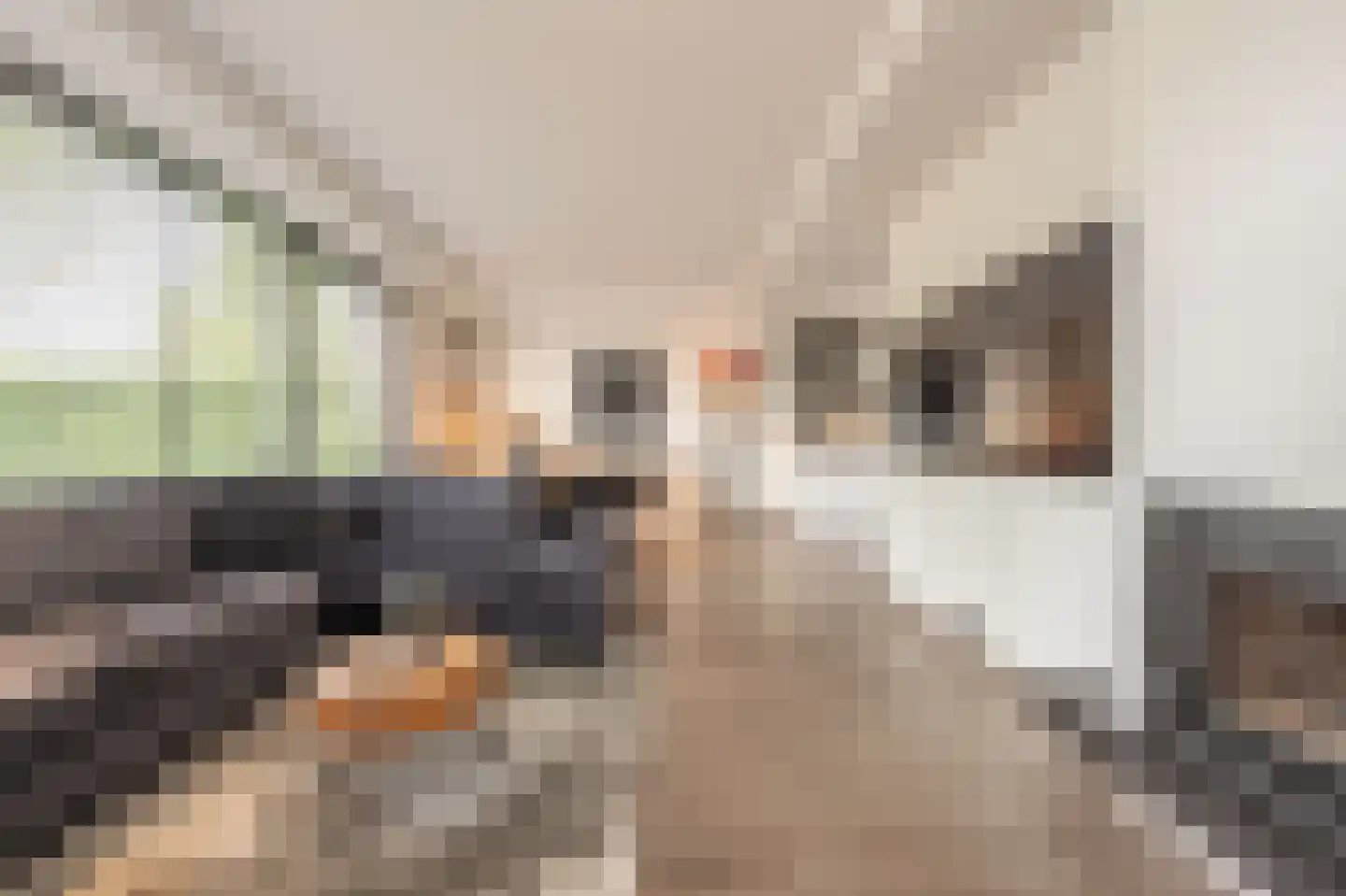 Laan van Moerkerken 62 Mijnsheerenland thumbnail 7