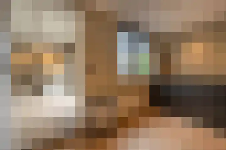 Laan van Moerkerken 70 Mijnsheerenland thumbnail 10