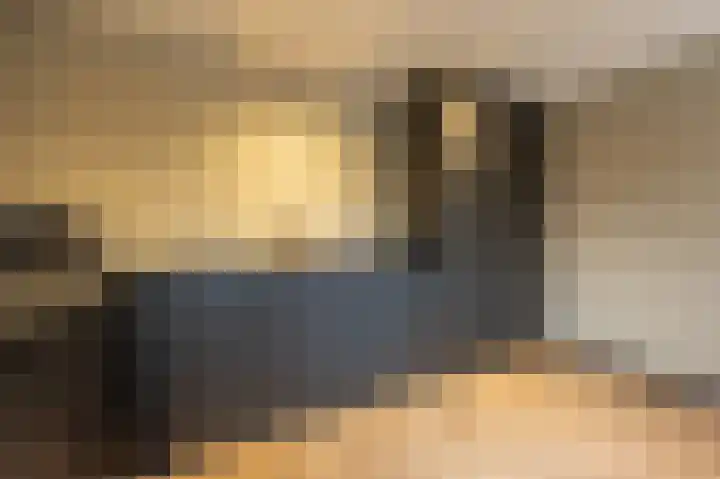 Laan van Moerkerken 70 Mijnsheerenland thumbnail 13