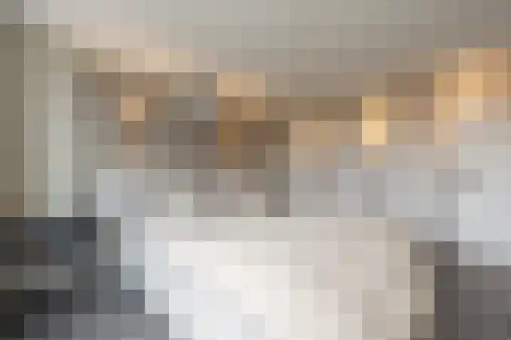 Laan van Moerkerken 70 Mijnsheerenland thumbnail 16