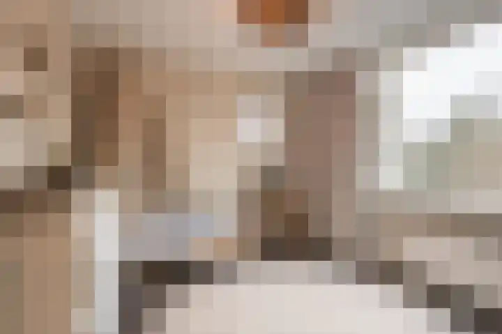 Laan van Moerkerken 70 Mijnsheerenland thumbnail 17