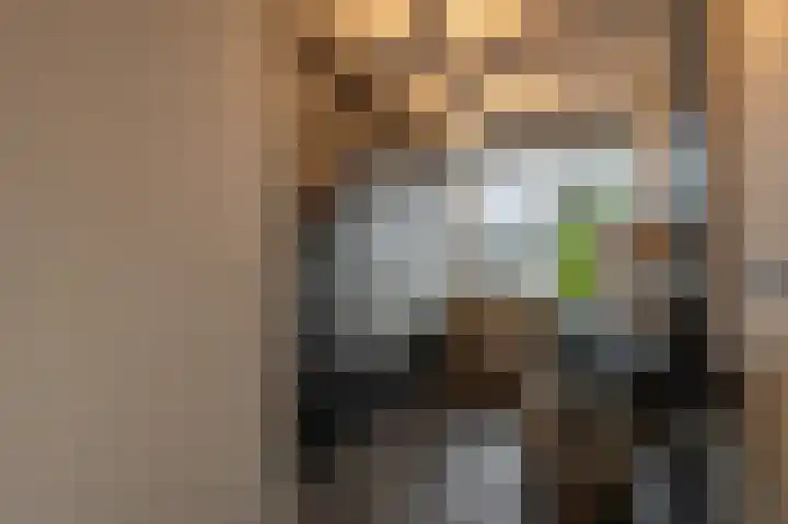 Laan van Moerkerken 70 Mijnsheerenland thumbnail 20