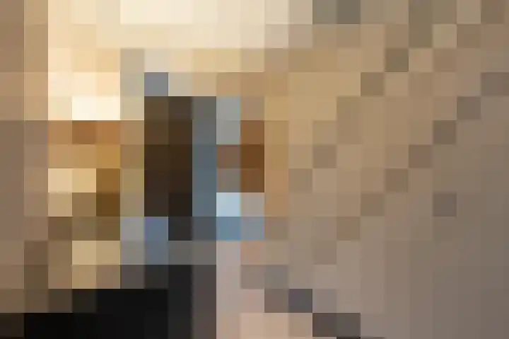 Laan van Moerkerken 70 Mijnsheerenland thumbnail 27