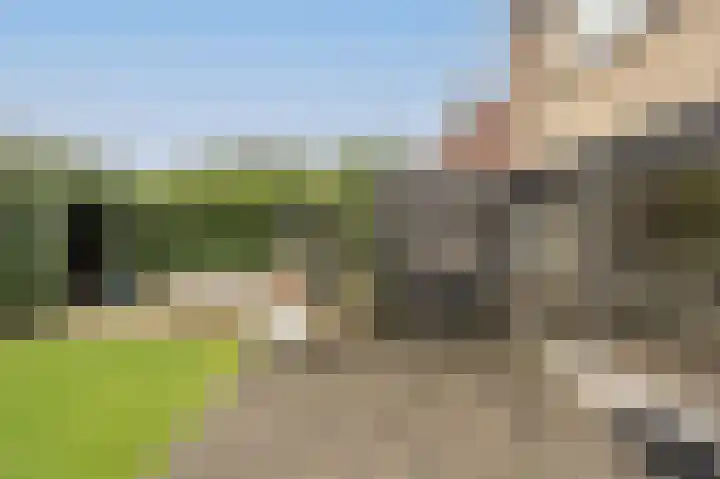 Laan van Moerkerken 70 Mijnsheerenland thumbnail 30