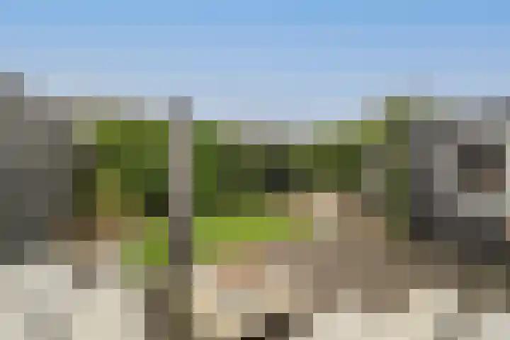 Laan van Moerkerken 70 Mijnsheerenland thumbnail 31