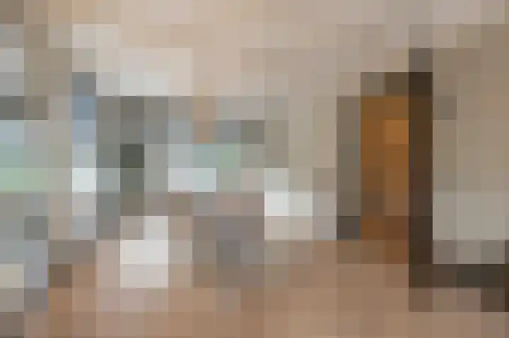 Laan van Moerkerken 70 Mijnsheerenland thumbnail 8