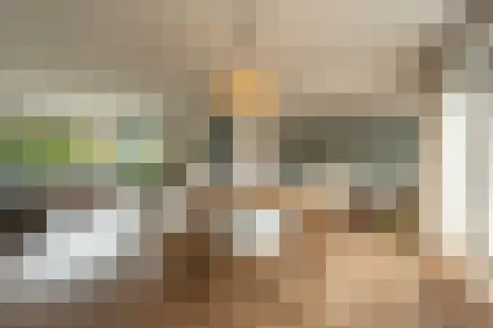 Laan van Moerkerken 72 Mijnsheerenland thumbnail 10