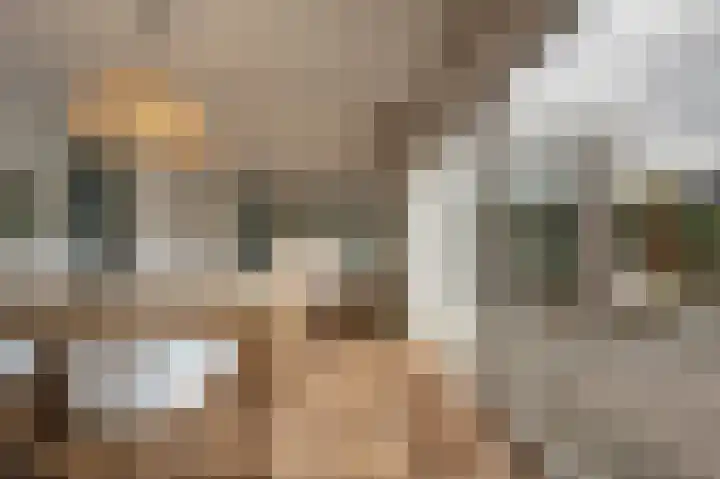 Laan van Moerkerken 72 Mijnsheerenland thumbnail 11