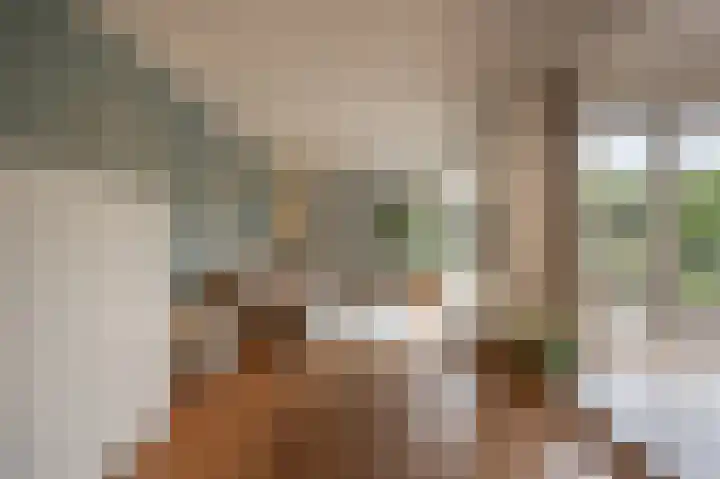 Laan van Moerkerken 72 Mijnsheerenland thumbnail 12