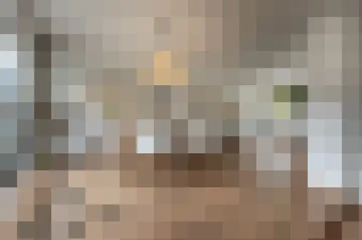Laan van Moerkerken 72 Mijnsheerenland thumbnail 14