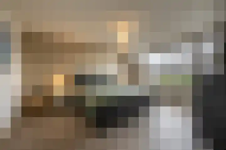 Laan van Moerkerken 72 Mijnsheerenland thumbnail 16