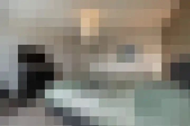 Laan van Moerkerken 72 Mijnsheerenland thumbnail 17