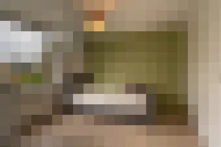 Laan van Moerkerken 72 Mijnsheerenland thumbnail 18