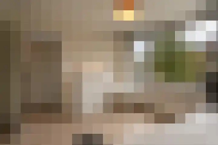 Laan van Moerkerken 72 Mijnsheerenland thumbnail 19