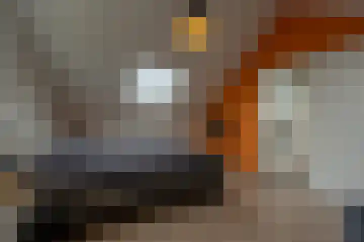 Laan van Moerkerken 72 Mijnsheerenland thumbnail 25