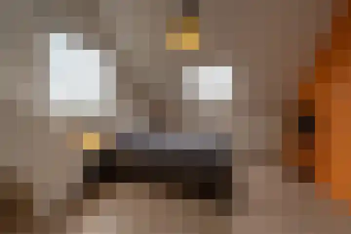 Laan van Moerkerken 72 Mijnsheerenland thumbnail 26