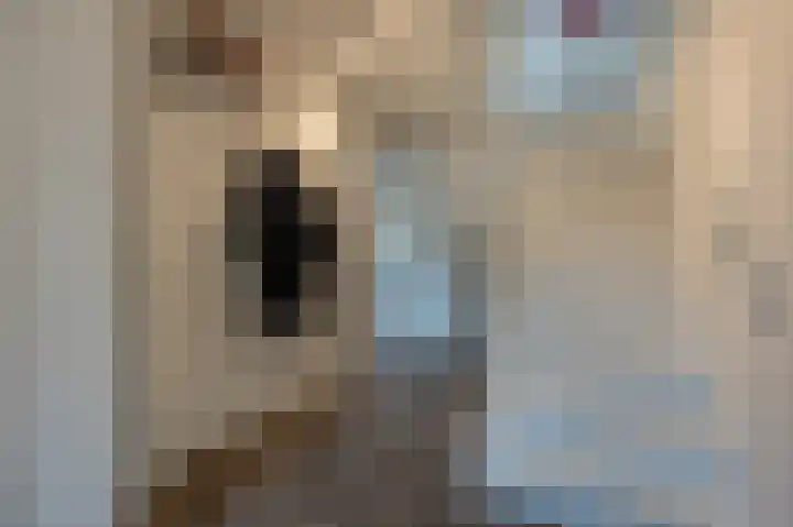 Laan van Moerkerken 72 Mijnsheerenland thumbnail 27