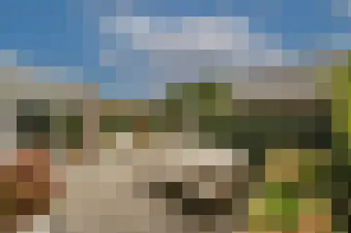 Laan van Moerkerken 72 Mijnsheerenland thumbnail 28