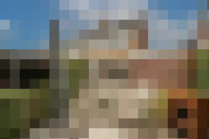 Laan van Moerkerken 72 Mijnsheerenland thumbnail 29