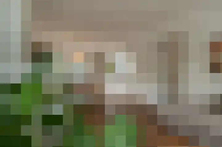 Laan van Moerkerken 72 Mijnsheerenland thumbnail 4