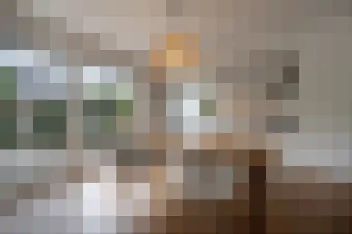 Laan van Moerkerken 72 Mijnsheerenland thumbnail 5