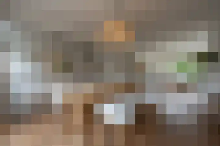 Laan van Moerkerken 72 Mijnsheerenland thumbnail 6