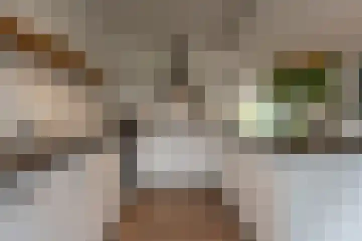 Laan van Moerkerken 72 Mijnsheerenland thumbnail 7