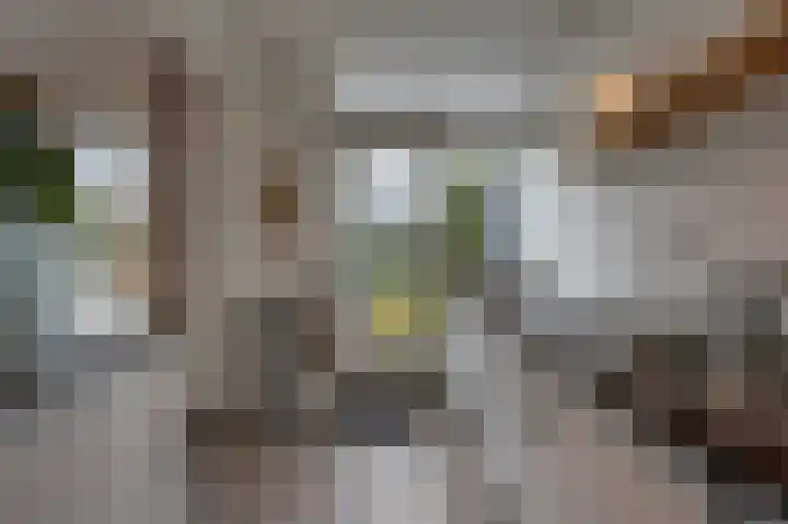 Laan van Moerkerken 72 Mijnsheerenland thumbnail 8