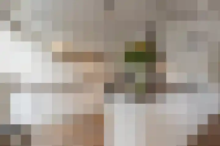 Laan van Moerkerken 72 Mijnsheerenland thumbnail 9