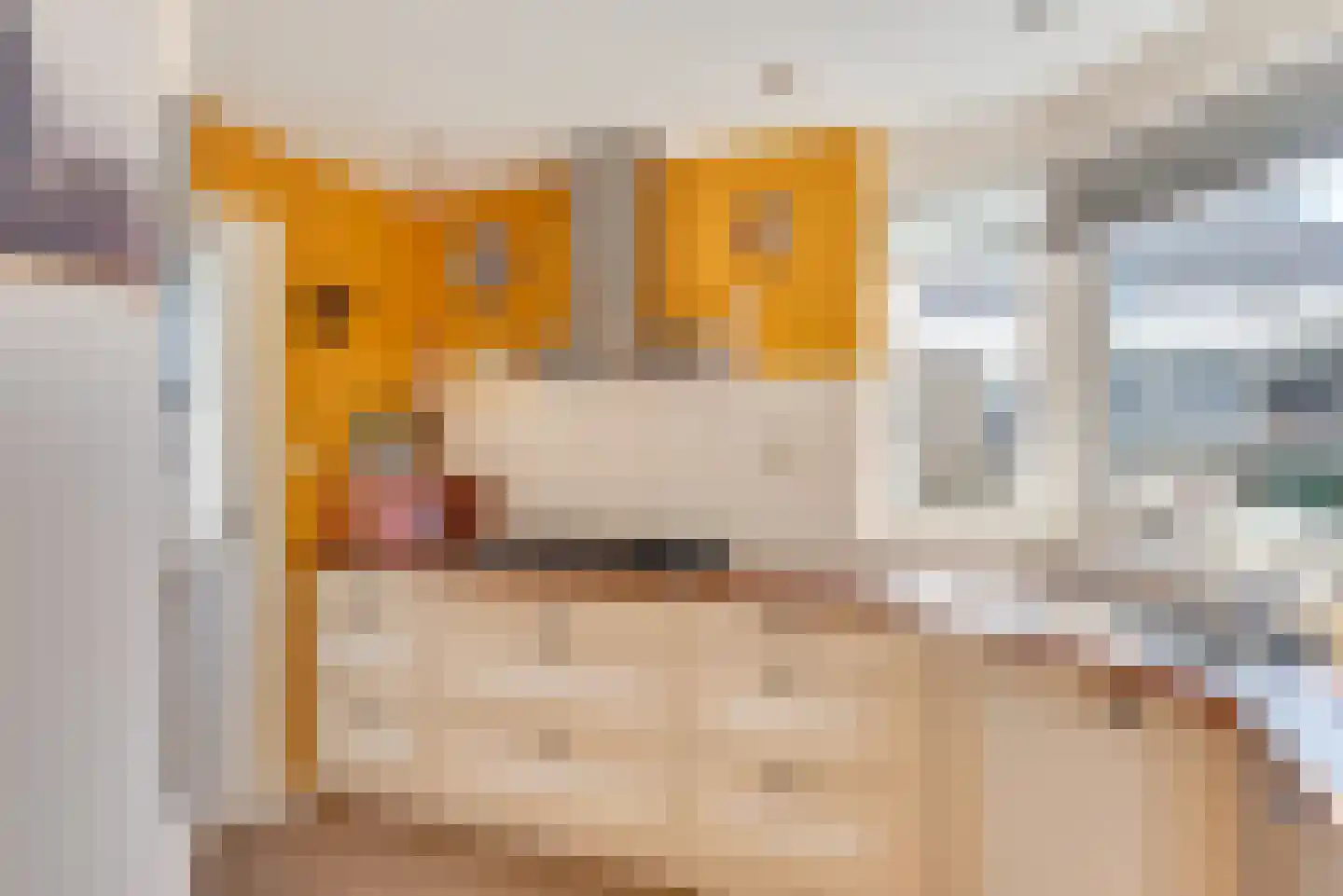 Laan van Muijs 18 Heiloo thumbnail 13