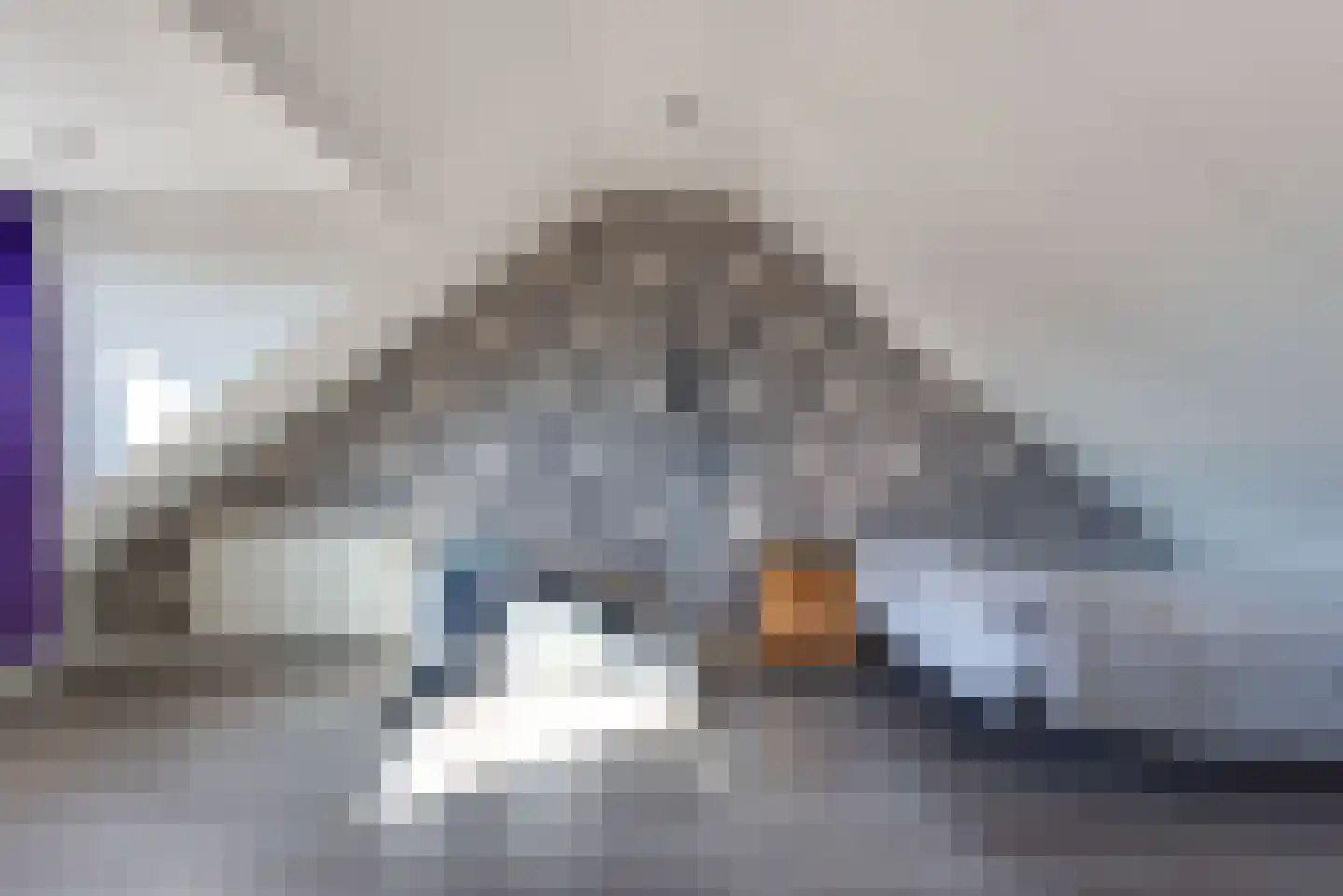 Laan van Muijs 18 Heiloo thumbnail 31