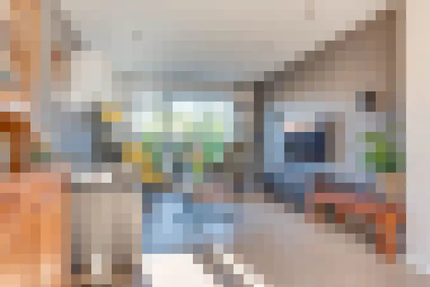 Laan van Muijs 18 Heiloo thumbnail 4