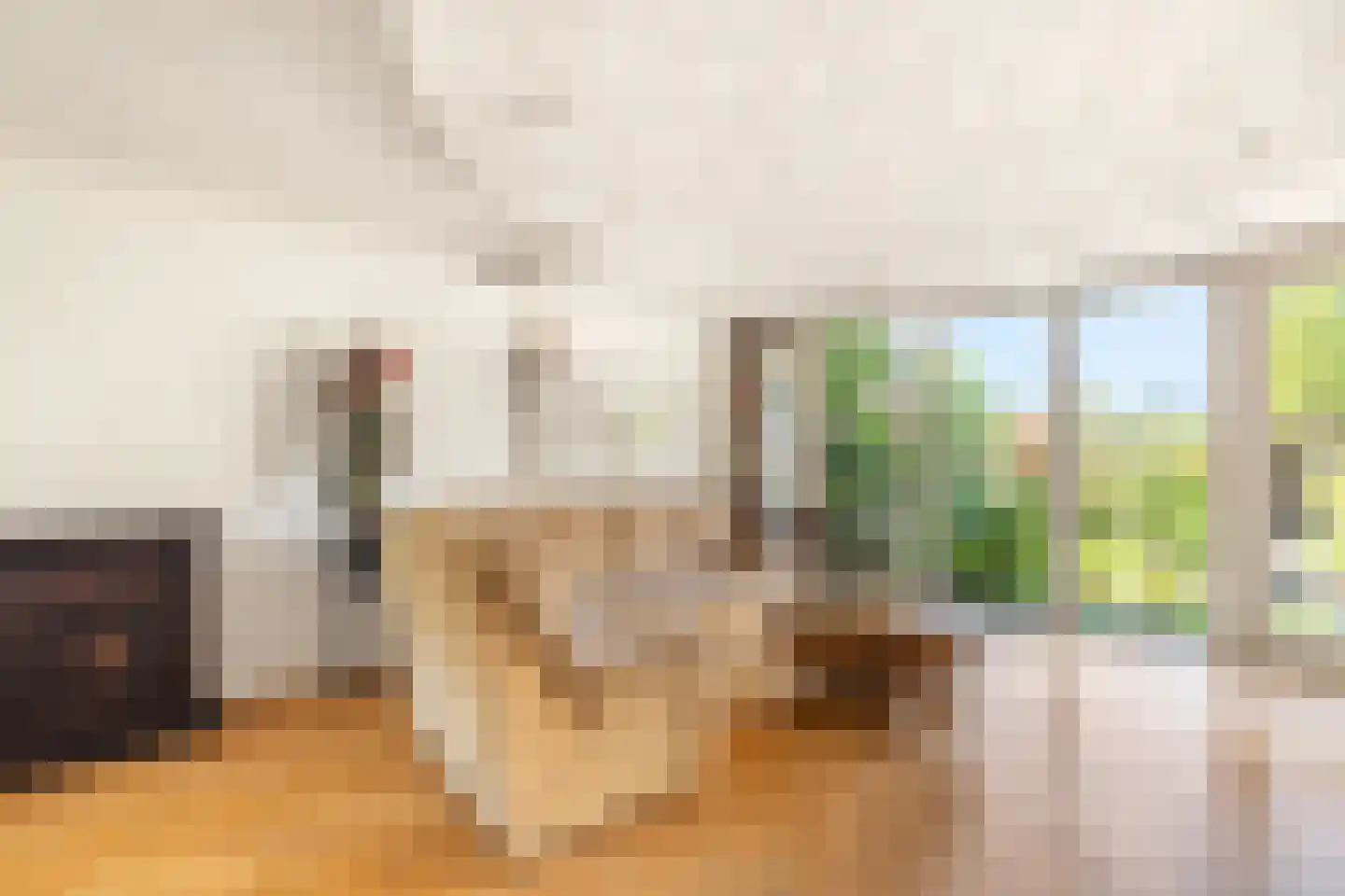Laan van Muijs 32 Heiloo thumbnail 16