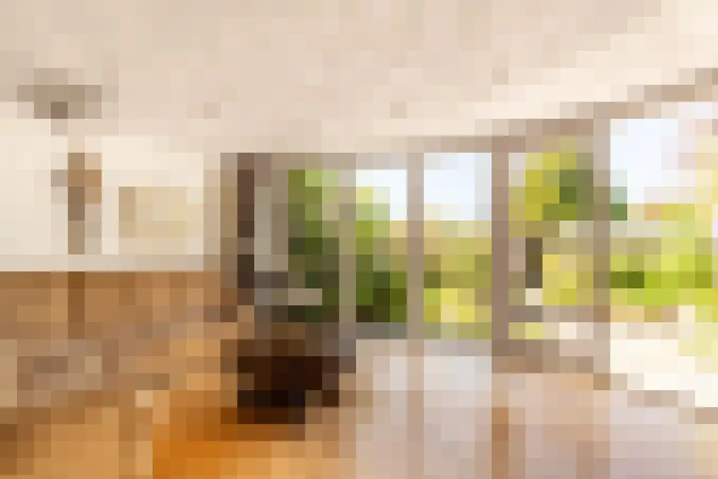 Laan van Muijs 32 Heiloo thumbnail 17