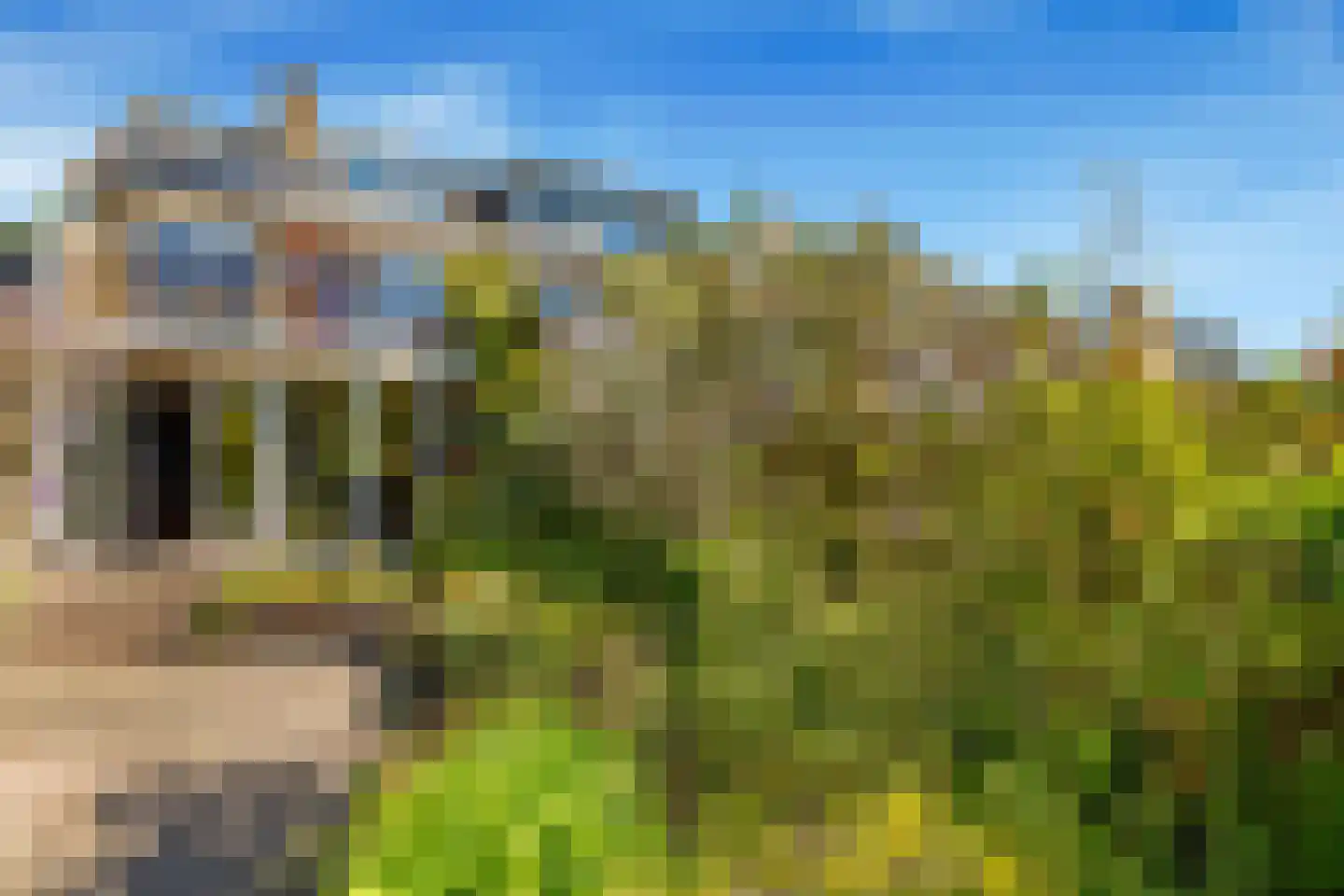 Laan van Muijs 32 Heiloo thumbnail 48