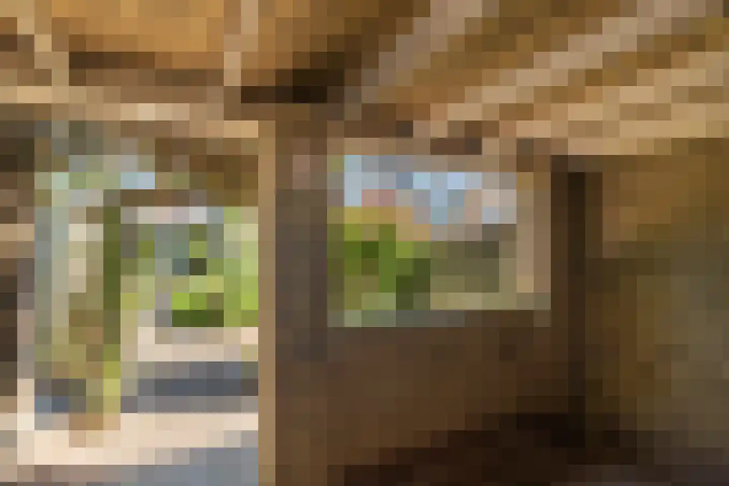Laan van Muijs 32 Heiloo thumbnail 54